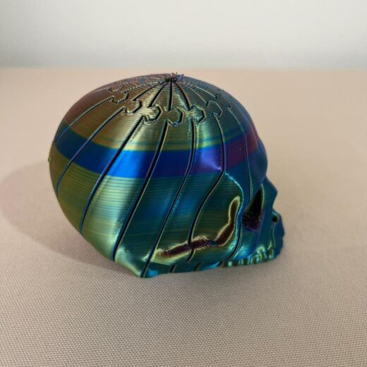 Caveira Articulada Colorida