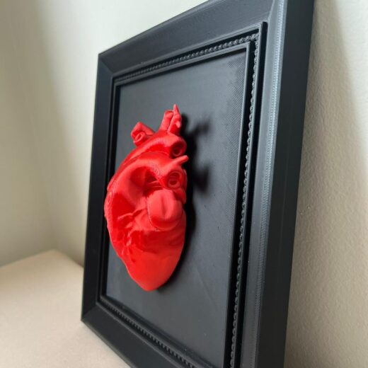 Quadro Coração Anatômico