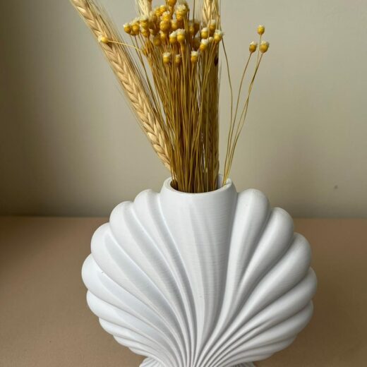 Vaso Concha Decorativo
